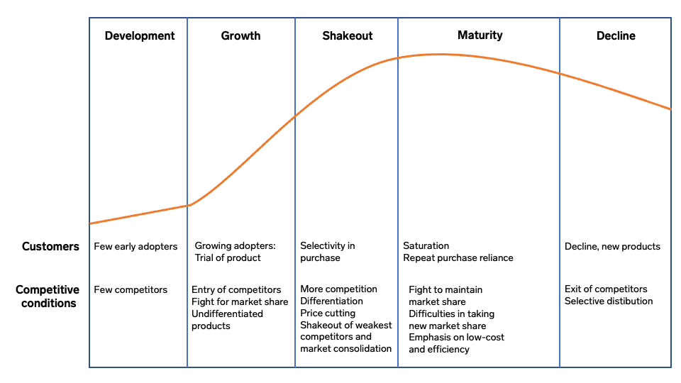 Image 1. Life cycle - adapted from Whittington, Scholes et al. 